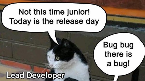 Meme Lucu Tapi Hanya Progammer yang Paham, Kamu Salah Satunya?