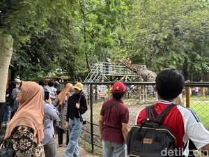 KBS Punya Event Spesial Saat Libur Lebaran, Penasaran? KBS Punya Event Spesial Saat Libur Lebaran, Penasaran?