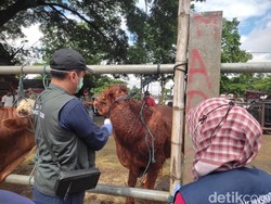DKPP Sidak Pasar Hewan Dimoro Kota Blitar Antisipasi PMK