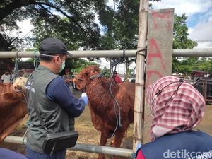 DKPP Sidak Pasar Hewan Dimoro Kota Blitar Antisipasi PMK DKPP Sidak Pasar Hewan Dimoro Kota Blitar Antisipasi PMK