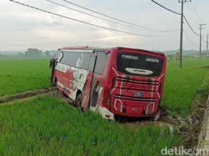 Bus Masuk Sawah Usai Tabrak Pikap di Ngawi, Satu Orang Tewas