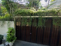 Mengintip Rumah Jokowi di Solo yang Sering Dikunjungi Turis buat Foto-foto