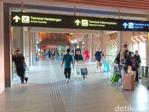 WNA Kepergok Jadi Tour Guide di Bali, Jemput Turis di Bandara