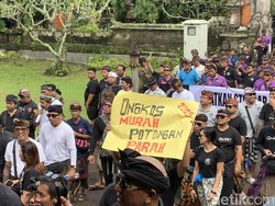 Sopir Pariwisata Bali Protes WNA Bertugas Jemput Turis Asing di Bandara Sopir Pariwisata Bali Protes WNA Bertugas Jemput Turis Asing di Bandara