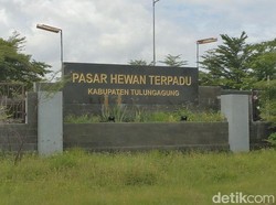 Pasar Hewan di Tulungagung Ditutup Seiring Meningkatnya Kasus PMK