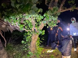 Perempuan di Kintamani Bunuh Diri, Diduga Cemburu Suami Joget Bareng Penari