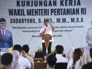 Kunjungi Banyuwangi, Wamentan Ajak Petani Milenial Swasembada Pangan Kunjungi Banyuwangi, Wamentan Ajak Petani Milenial Swasembada Pangan