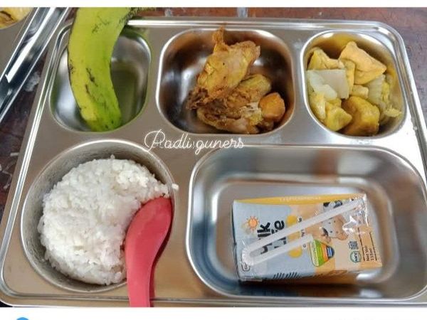 10 Potret Menu Makan Bergizi Gratis yang Viral di Media Sosial