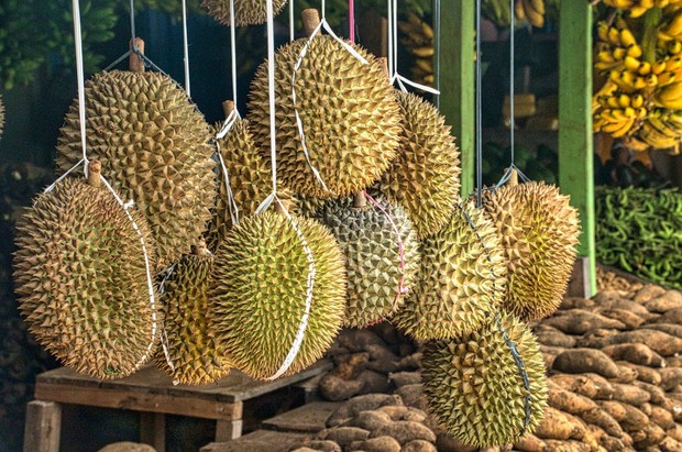 durian punya rasa yang sangat kuat