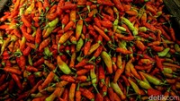 Harga Cabai Rawit Merah Setara Daging Sapi Jelang Nataru
