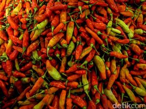 Gagal Panen di Mana-mana Bikin Harga Cabai Setara Daging Sapi Gagal Panen di Mana-mana Bikin Harga Cabai Setara Daging Sapi