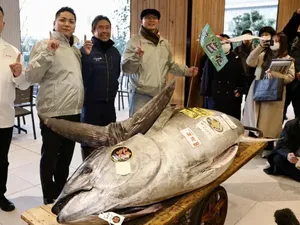 Ikan Tuna Segede Motor hingga Tips Jitu Pilih Durian