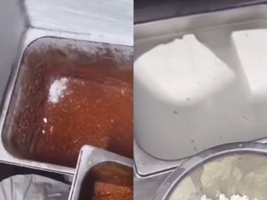 Jorok! Resto Ini Simpan Daging Mentah Campur Sayuran dan Minyak Bekas Jorok! Resto Ini Simpan Daging Mentah Campur Sayuran dan Minyak Bekas
