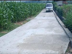 Nasib Kampung Miliarder Tuban, Dulu Heboh Kini Ngenes Nasib Kampung Miliarder Tuban, Dulu Heboh Kini Ngenes