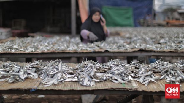 Perajin mengolah ikan asin di kawasan Muara Angke, Jakarta. Selasa, 7 Januari 2024. Produksi ikan asin di kawasan tersebut dalam beberapa pekan terakhir mengalami penurunan hingga 40 persen, akibat cuaca yang tidak menentu. (CNN Indonesia/Adhi Wicaksono)