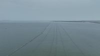 Ini Dia Pagar Misterius 30,16 Km di Laut Tangerang