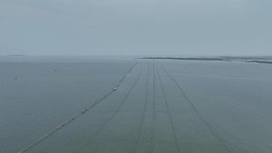 Ini Dia Pagar Misterius 30,16 Km di Laut Tangerang