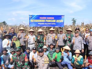 Panen Jagung Ketahanan Pangan Polres Blitar Kota bersama Petani