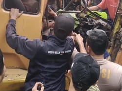 Pohon Tumbang Timpa Truk di Jalan Denpasar-Gilimanuk, Sopir Terjepit