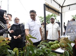Bertemu Petani, Wamentan dan Legislator Gerindra Bahas Pangan-Makan Bergizi