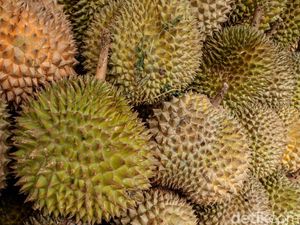 Video: Kok Bisa Vietnam Jadi Raja Durian Baru?