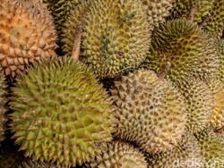 Kalahkan RI, Vietnam Jadi Raja Durian Dunia