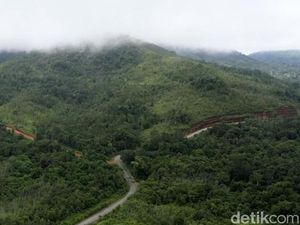 Solusi Menuju Indonesia yang Rendah Emisi
