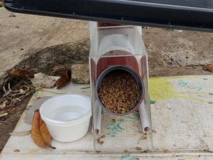 Video: Mengulik Cara Kerja Dispenser Makanan Kucing Milik Ananda Arief Video: Mengulik Cara Kerja Dispenser Makanan Kucing Milik Ananda Arief