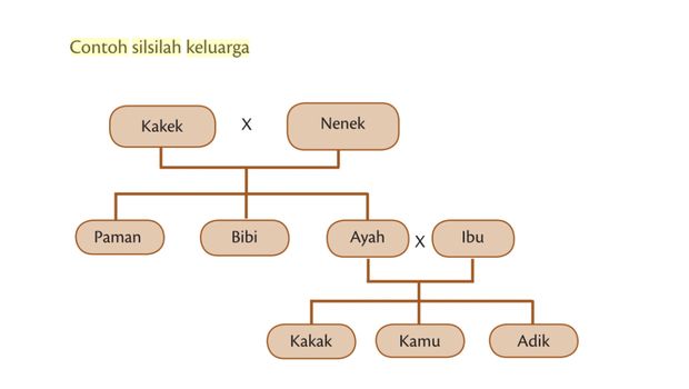 ilustrasi silsilah keluarga