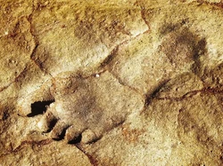 Arkeolog Tak Sengaja Temukan Jejak Kaki Tertua di Jazirah Arab, Milik Manusia Purba?