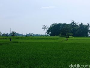 Cerita Petani Tua Tasik dalam Bayang-bayang Kekhawatiran Cerita Petani Tua Tasik dalam Bayang-bayang Kekhawatiran