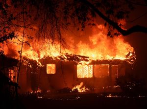 Kebakaran Hutan di California Hanguskan Rumah hingga Restoran