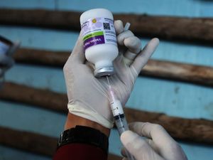 Sumsel Dapat 13 Ribu Dosis Vaksin PMK Tahap II Sumsel Dapat 13 Ribu Dosis Vaksin PMK Tahap II