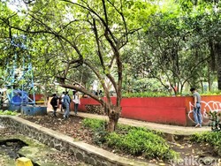 Tren Koin Jagat Berpotensi Rusak Taman, Pemkot Bandung Risau