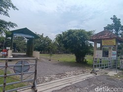 Imbas PMK, Transaksi di Pasar Hewan Gamping Turun 80 Persen