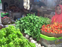 Pedasnya Harga Cabai di Lumajang Capai Rp 120 Ribu per Kilogram