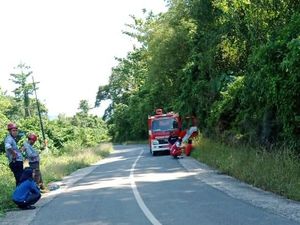 Warga di Ponrang Luwu Diteror Serangan Monyet Liar, 4 Korban Luka-luka Warga di Ponrang Luwu Diteror Serangan Monyet Liar, 4 Korban Luka-luka