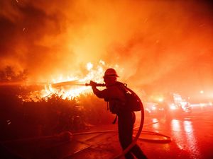 Potret Petugas Damkar Berjibaku Padamkan Kebakaran Hutan California