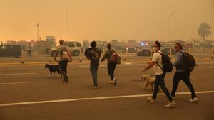Puluhan Ribu Orang di Los Angeles Dievakuasi Akibat Kebakaran Hutan
