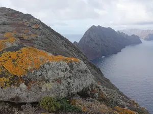 Sebanyak 1.329 Siput Kecil Dilepaskan di Pulau Terpencil Ini, Apa Tujuannya?