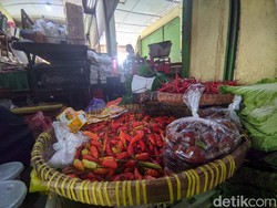 Harga Cabai Rawit di Kulon Progo Makin Pedas, Tembus Rp 100 Ribu Sekilo