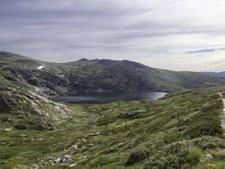 Kisah Hadi Nazari Bertahan Selama 2 Pekan Saat Tersesat di Gunung