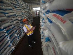 Stok Pupuk RI Dipastikan Aman Capai 1,6 Juta Ton Stok Pupuk RI Dipastikan Aman Capai 1,6 Juta Ton