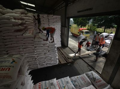 Distribusi 3.500 Ton Pupuk Subsidi untuk Dukung Swasembada Pangan