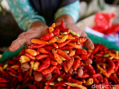 Duh! Harga Cabai Pedas Menggigit