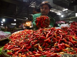 Jelang Ramadan, Harga Cabai di Palembang Masih Rp 60.000/Kg