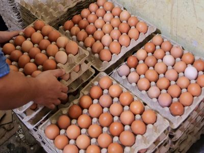 Tak Hanya Cabai, Harga Telur Ayam Ikut Melambung