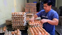 Harga Telur Ayam Ras di Lubuklinggau Capai Rp 65.000/Karpet