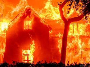 Kebakaran di Los Angeles Meluas hingga Hollywood, Terparah dalam 2 Dekade