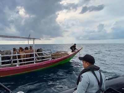 KN. Ular Laut-405 Selamatkan Kapal Terombang Ambing di Laut Flores